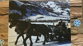 Eine Pferdeschlittenfahrt bei Pferdeschlittenfahrten Hollaus erleben