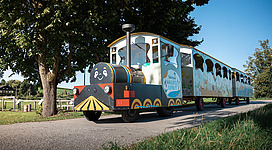 Eine Fahrt mit dem Wallersee Express machen