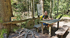 Eine Wanderung zur Heiligengeistklamm unternehmen