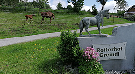 Reiterhof Greindl