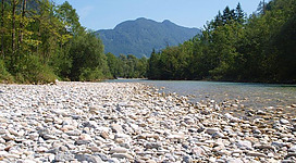 Ein ruhiger Fluss mit vielen runden Steinen und üppigem Grün am Ufer. Im Hintergrund sind sanfte Berge zu sehen.