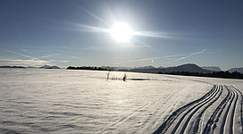 Langlaufen in Obertrum am See