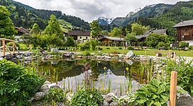 Den Kräutergarten in Hollersbach entdecken