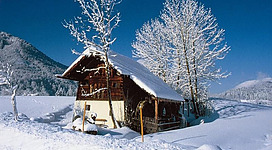 Ein idyllisches Holzhaus im Schnee mit schneebedeckten Bäumen. Der klare blaue Himmel sorgt für eine ruhige Winteratmosphäre.
