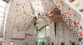 Kletterzentrum im Delta Sportpark in Vöcklabruck: Eine große, geräumige Kletterhalle mit bunten, vielfältigen Klettergriffformen an den Wänden. Mehrere Kletterer in Sportkleidung sind dabei, verschiedene Routen an den Wänden zu erkunden.