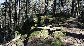 Teufelskanzel_ Oberneukirchen 1