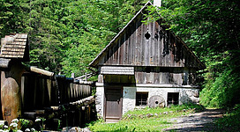 Ein traditionelles Holzhaus inmitten eines grünen Waldes. Neben dem Haus verläuft ein schmaler Weg und eine alte Wasseranlage.