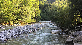 Ein klarer Fluss fließt durch eine grüne Landschaft mit Bäumen. Kleine Steine liegen am Ufer und es gibt einen Wasserfall im Hintergrund.