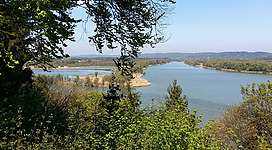 Inn-Salzach-Blick in Überackern: Eine idyllische Landschaft mit einem malerischen See, umgeben von üppigem Grün und Bäumen. Die Ufer des Sees sind von hügeligem Gelände umgeben, das eine ruhige und friedliche Atmosphäre vermittelt.