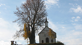Mühlholzkapelle in Lembach im Mühlkreis: Eine traditionelle, einstöckige Kirche mit Spitzturm und Kreuzen auf dem Dach steht auf einer Anhöhe umgeben von einem grünen Rasenhang. Ein großer, kahler Baum überragt die Kirche. Vor der Kirche befinden sich eine Bank und ein weiteres kleines Gebäude.
