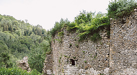 Burgruine Falkenstein in Pfarrkirchen im Mühlkreis: Ein Steinmauer-Ruinengebäude, von Grün umgeben und in einer bergigen Landschaft gelegen. Die Mauer hat eine Nische oder einen Durchgang und ist von Pflanzen bewachsen. Die Umgebung wirkt naturbelassen und idyllisch.