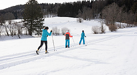 Langlaufen auf der Loipe Gaisberg - Oberwinkel