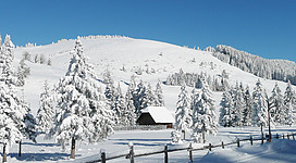 Einen Ausflug in den Naturpark Almenland machen