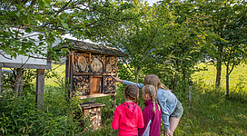 Drei Kinder schauen neugierig auf ein Insektenhotel in der Natur. Die Umgebung ist grün, mit vielen Bäumen und Sträuchern.