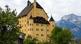 Schloss Goldenstein (Elsbethen)