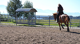 Sun Side Ranch in Zell am Pettenfirst: Eine Person reitet auf einem Pferd in einer eingezäunten Reitanlage. Im Hintergrund sind Bäume und Berge zu sehen, die eine malerische Umgebung schaffen. Die Reiterin scheint die Bewegungen des Pferdes zu kontrollieren und es sicher zu führen.