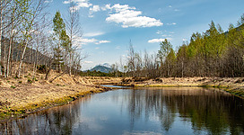 Das Pürgschachen Moor erkunden