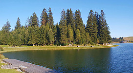 Am Teichalmsee angeln gehen