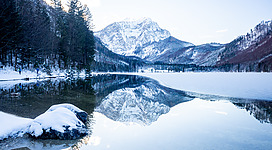 This media shows the nature reserve in Upper Austria with the ID n010.