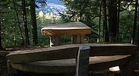 Panoramablick Moarfelsen in St. Aegidi: Eine offene, rustikale Holzkonstruktion inmitten eines Waldes mit hohen Bäumen. Die Struktur hat ein Dach und ist auf einer Erhebung oder einem kleinen Hügel platziert, sodass man einen Ausblick über die waldige Umgebung hat.