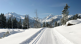 Langlaufen auf der Hochmoorloipe