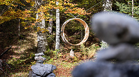 Die Natur neu entdecken im Waldbad am Riedenberg