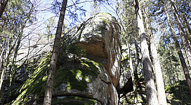 Edlbauer Felsen und Plochwald