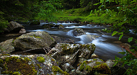 Fischen in der Salzach