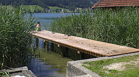 Personen sitzt auf einem Holz-Steg umgeben von Schilf und Wasser, im Hintergrund Landschaft