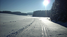 Haugstein Sauwaldloipen in Engelhartszell: Eine verschneite Landschaft mit einer Schneise, die sich durch eine Waldlandschaft schlängelt. Im Hintergrund sind Bäume und Berge zu sehen, die vom Sonnenlicht beleuchtet werden. Der Schnee bedeckt den Boden und die Umgebung, was eine winterliche Stimmung erzeugt.