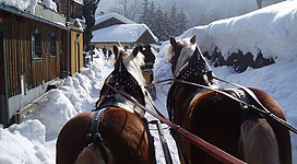 Zwei Pferde ziehen eine Kutsche durch eine verschneite Landschaft. Im Hintergrund sind Häuser und Bäume zu sehen, umgeben von Schnee.