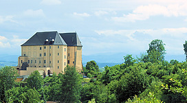 Schloss Steyregg
