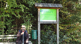 Glücksplatz - "Birnbaumplatz" in Seewalchen am Attersee: Das Bild zeigt einen Informationsständer in einem Waldgebiet. Eine Person, die einen Wanderstab und eine Jacke trägt, steht davor. Der Ständer enthält ein Schild mit grünem Hintergrund und einer Aufschrift in einer anderen Sprache.