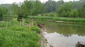 Naturraum Moosbachtal