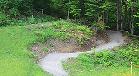 Ein kurvenreicher Weg führt durch den grünen Wald. Umgeben von Bäumen und Pflanzen bietet die Szene eine ruhige Naturatmosphäre.