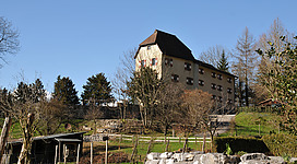 Amberg Castle in Feldkirch, Austria.