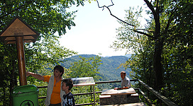 Ausblick Verlorenes Reith in Pfarrkirchen im Mühlkreis: Ein Außenbereich mit einem Aussichtspunkt, der von grünen Bäumen umgeben ist. Eine Gruppe von Personen befindet sich auf einer Holzplattform und betrachtet die Aussicht. Ein Mülleimer steht neben der Plattform.