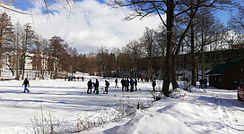 ob Eislaufen oder Eisstockschießen, hier ist Platz für alle