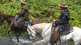 Wanderreithof Lackner