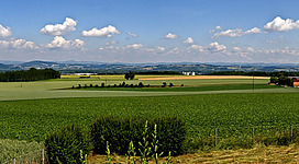 Panoramablick Rabenberg in Enns: Ein weiter Landschaftsausblick mit sanft geschwungenen Hügeln, Feldern und Wäldern, unter einem wolkenverhangenen blauen Himmel. In der Ferne sind einige Gebäude zu erkennen. Die Szene strahlt eine friedliche, ländliche Atmosphäre aus.