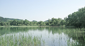 Alpenvorland Mattsee, Naturschutzgebiet Nordmoor