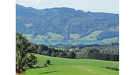 Blick auf die Landschaft und die Berge im Hintergrund