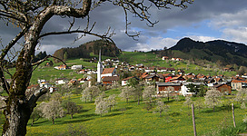 View over the cherry on the village centre of Fraxern in Vorarlberg. The Sakura has begun.