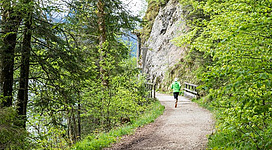 Ein Läufer joggt auf einem schmalen Weg entlang einer grünen Waldlandschaft. Die Umgebung ist von frischem Blattwerk und felsigen Abschnitten geprägt.