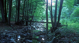Bachbett kleine Gusen