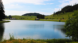 Eine Wanderung zum Teichalmsee unternehmen