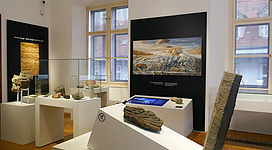 Universalmuseum Joanneum_Naturkundemuseum