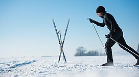 Langlaufen in Neumarkt am Wallersee