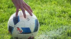 Ein Fußball liegt auf einem grünen Rasen.