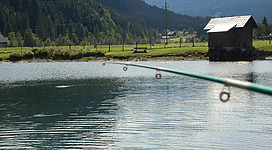 Forellenteich in Gosau, mit tollem Bergpanorama